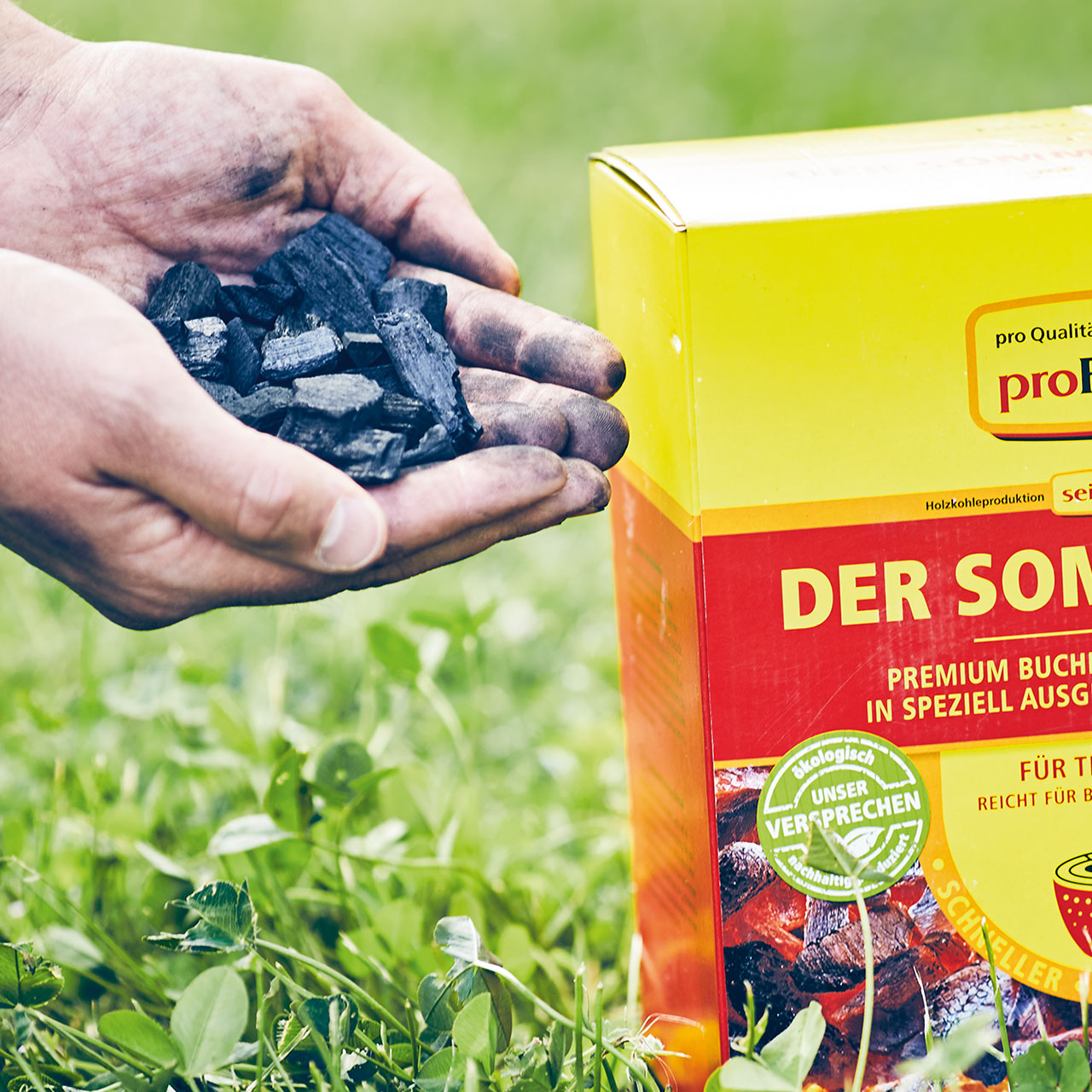 Tischgrillkohle_HaendeAYV6PGzU0HlH9
